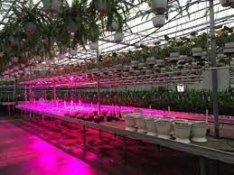 What You Need to Know About Vertical Farming LED Grow Light