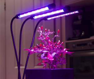 Useful Tips to Choose led Grow Lights Factory China