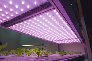 How to use quantum board LED grow light for vertical garden?